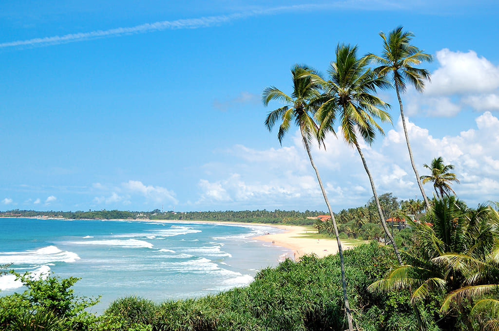 туры на шри ланку