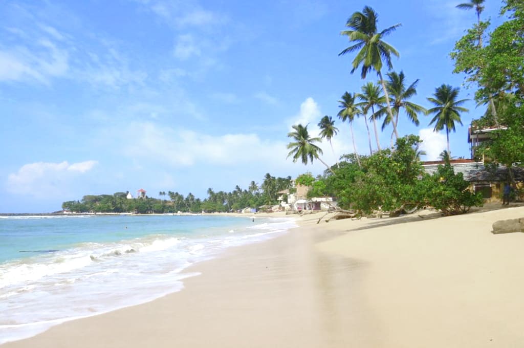 путевка на шри ланку